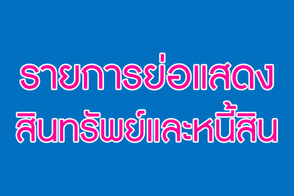 Read more about the article รายการย่อแสดงสินทรัพย์และหนี้สิน